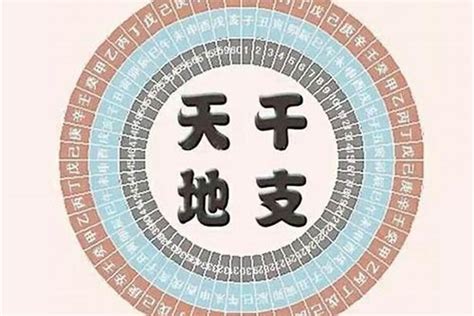 八字土太旺|八字土多代表什么意思？那么土多怎么办呢？